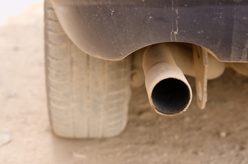 car exhaust