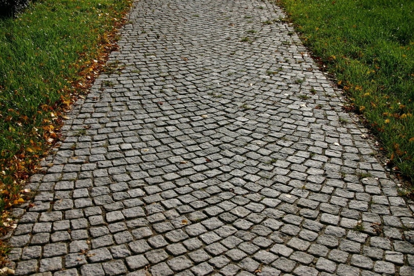cobblestone path