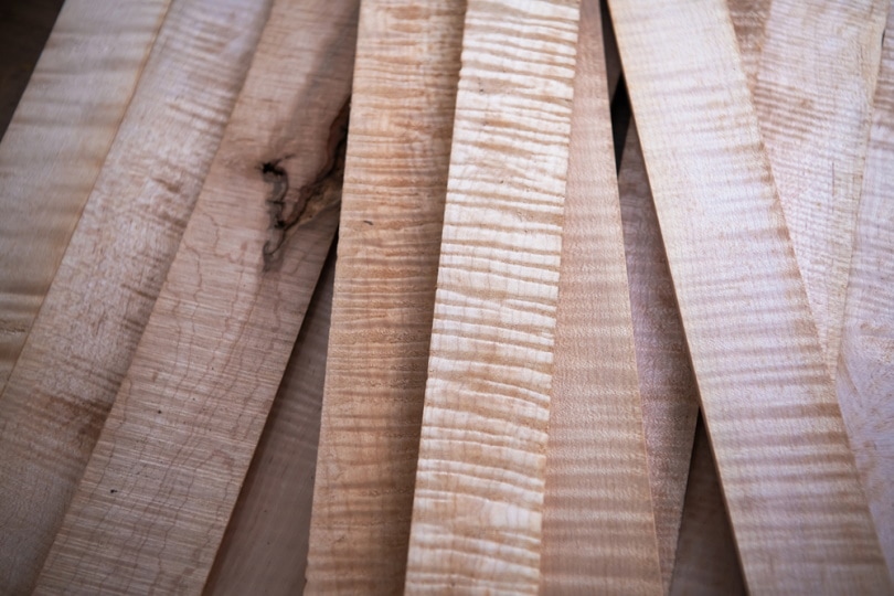 curly maple wood