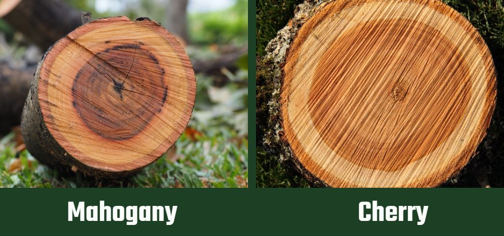 mahogany vs cherry