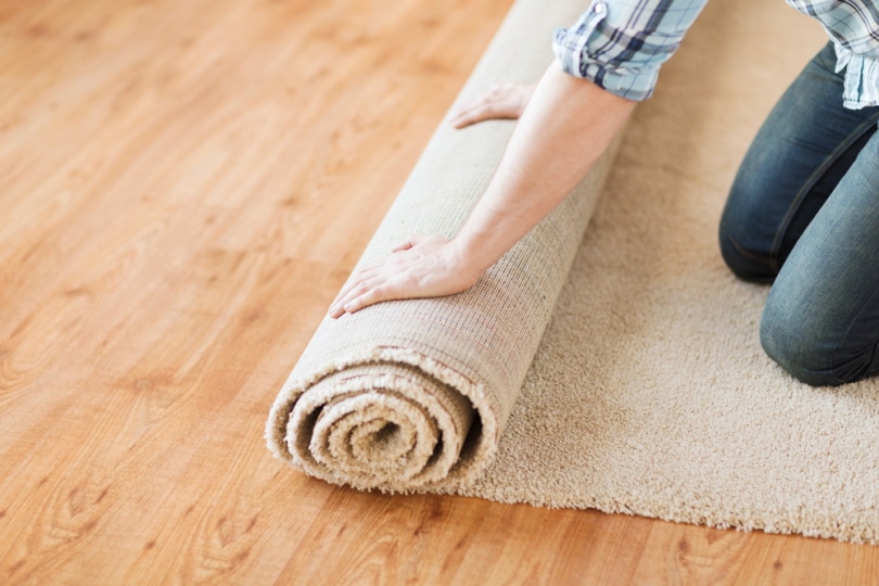 man rolling carpet