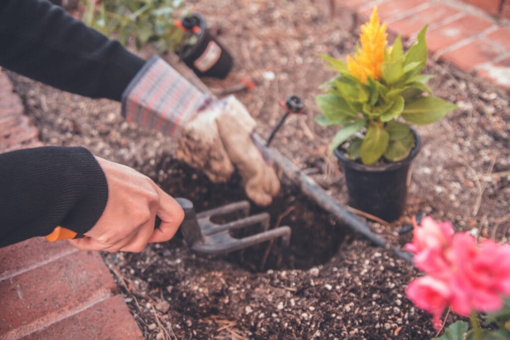 person holding a gardening tool