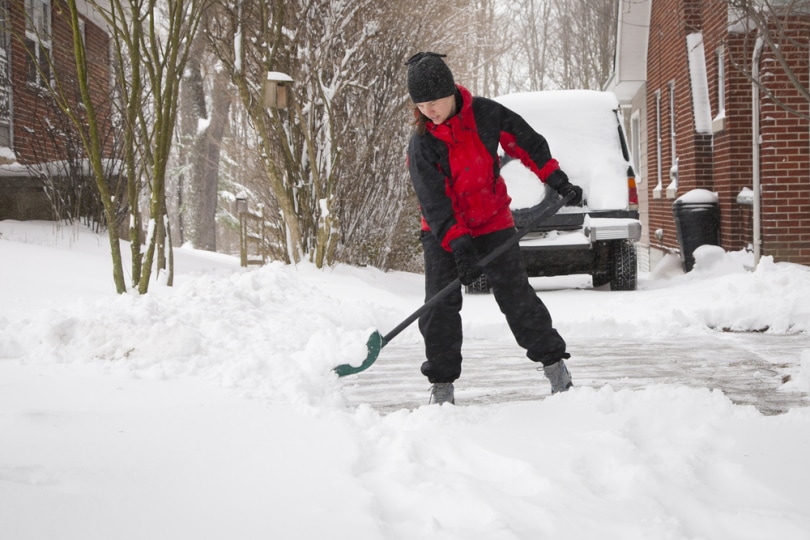person shoveling snow