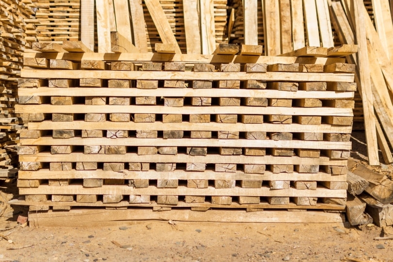 poplar lumber