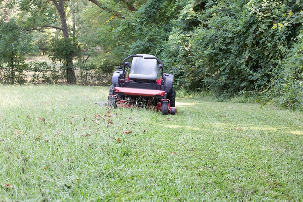red zero turn mower parked on the garden
