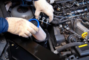 How Often Do I Replace My Fuel Filter? Signs, Facts & FAQs Home Grail