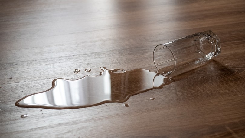 spilled glass of water
