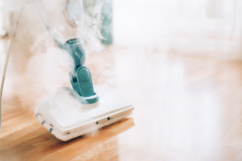 steam cleaning