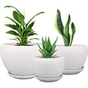Brajtt Round Vintage Planters