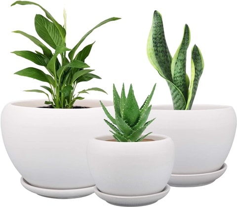 Brajttt Ceramic Flower Pots