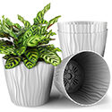 Plant and Flower Pot: 4-Piece
