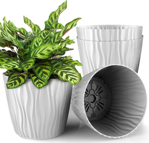 Mueller Austria Plant and Flower Pot