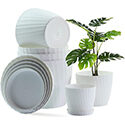 Simple Plastic Pots: 6-Pack