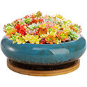 Peohud Round Ceramic Planter
