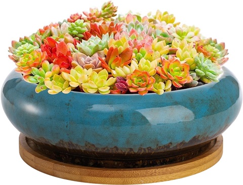 Peohud 7.2 Inch Round Ceramic Succulent Planter