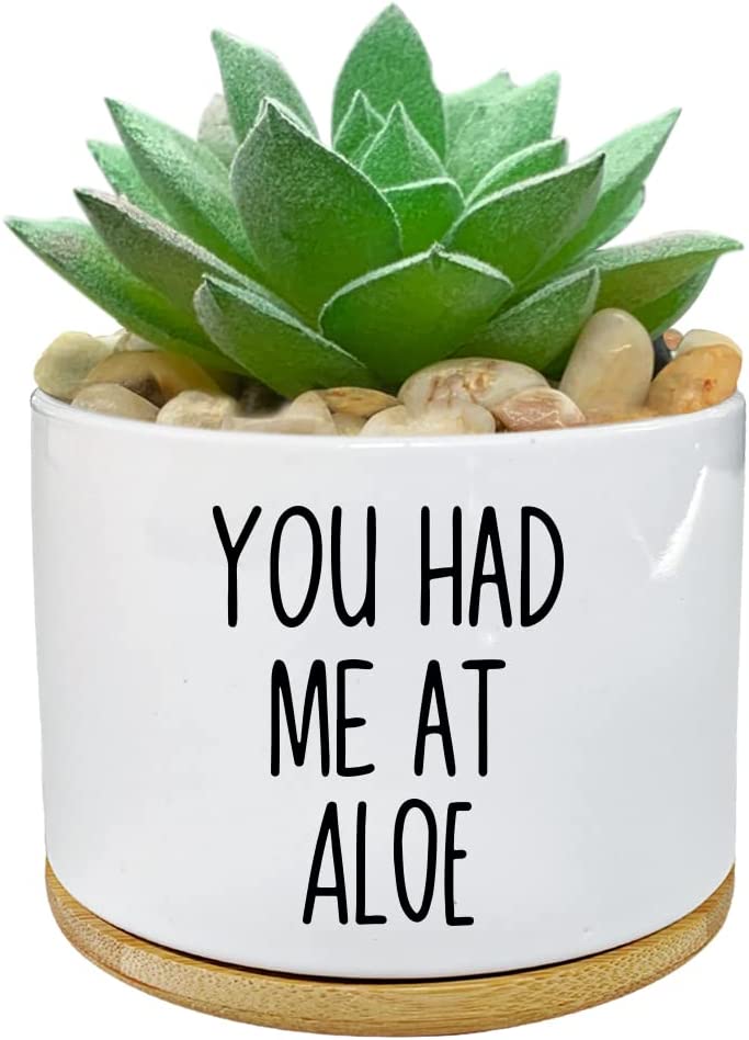 WHING You Had Me at Aloe - White Ceramic Engraved Mini Succulent Cactus Planter Pot