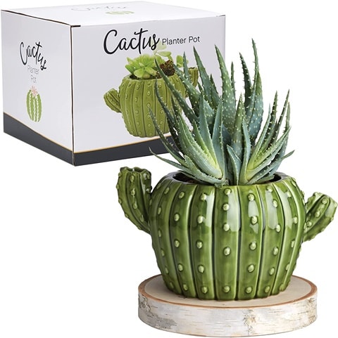 Streamline Imagined Cactus Shaped Ceramic Flower Planter Pot