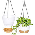 Hanging Planters