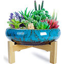 Arketty Large Succulent Planter Pot