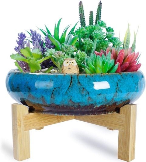 Succulent Pot - Large Succulent Planter Pot with Drainage