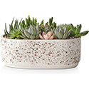 Lifver Large Succulent Planters