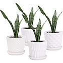 Ceramic Pots 