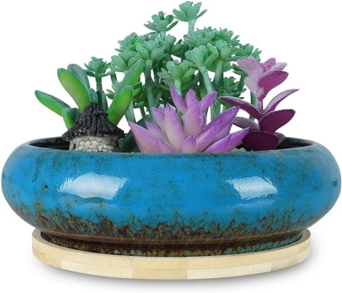 Succulent Pot