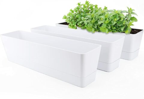 Window Boxes Planters