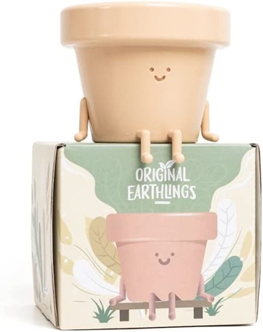 Sitting Indoor Plant Pot