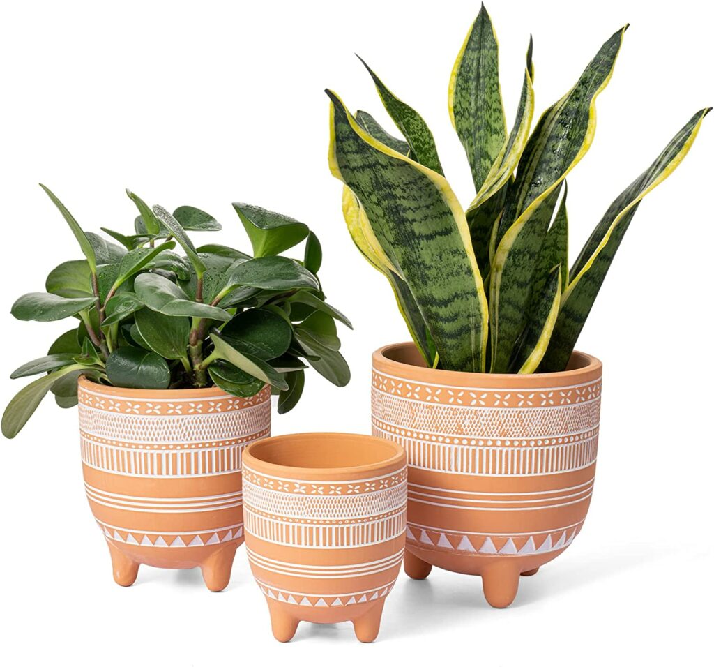Terracotta Planter Pots for Plants