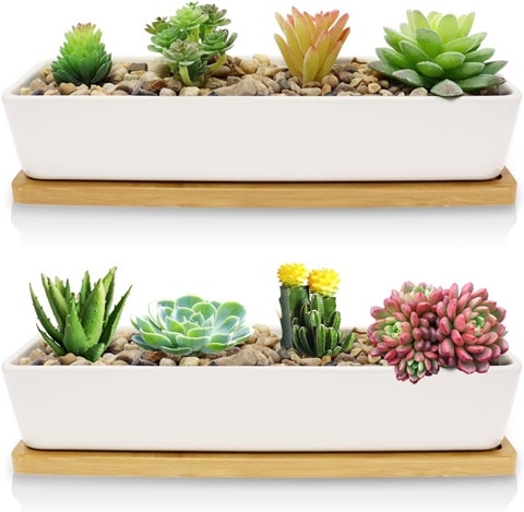 Farielyn-X 2 Pack White Succulent Planter Pots
