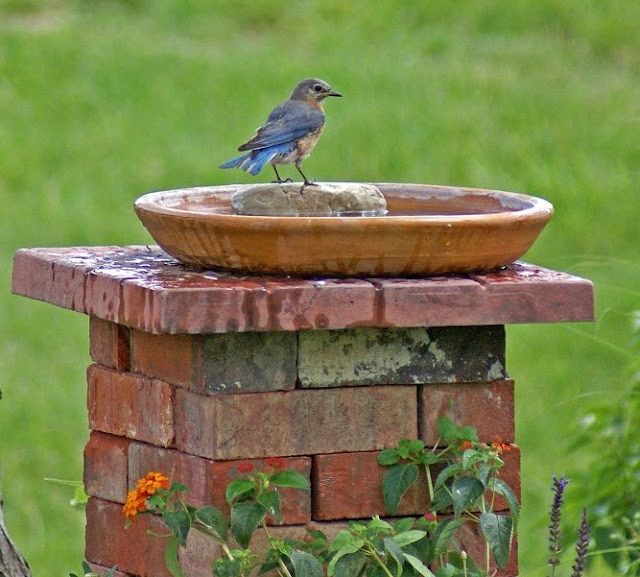 A Birdbath by Gavin's Historical Bricks