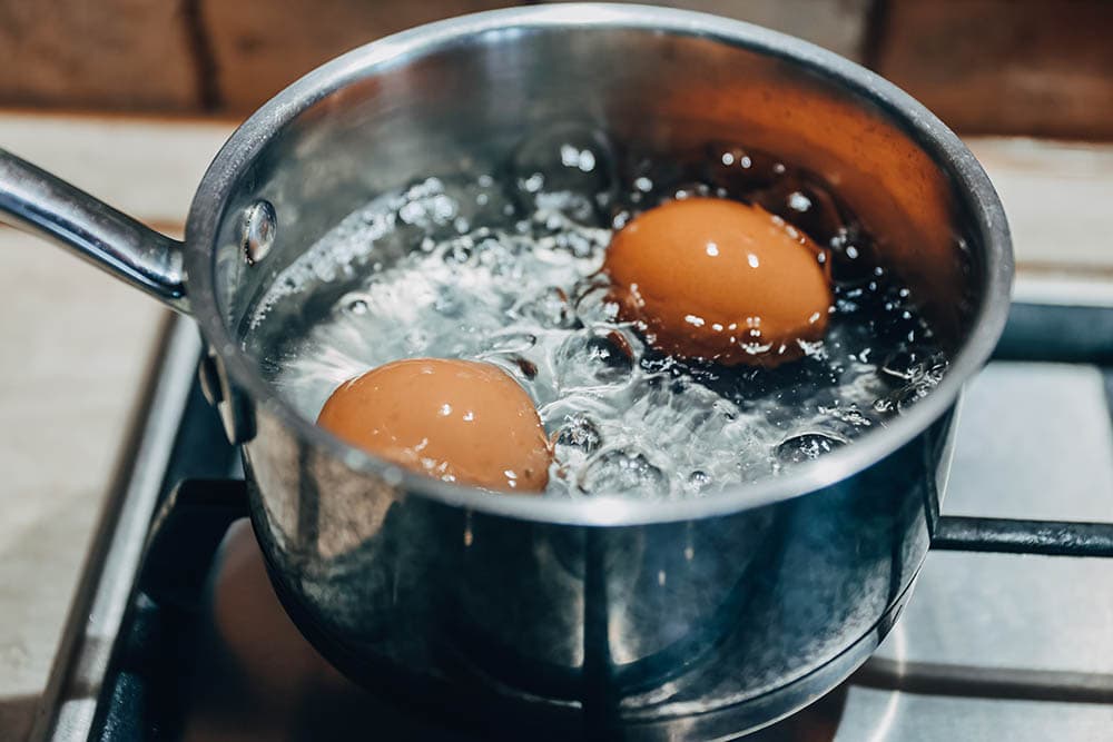 Boiling eggs_Elena karetnikova_Shutterstock