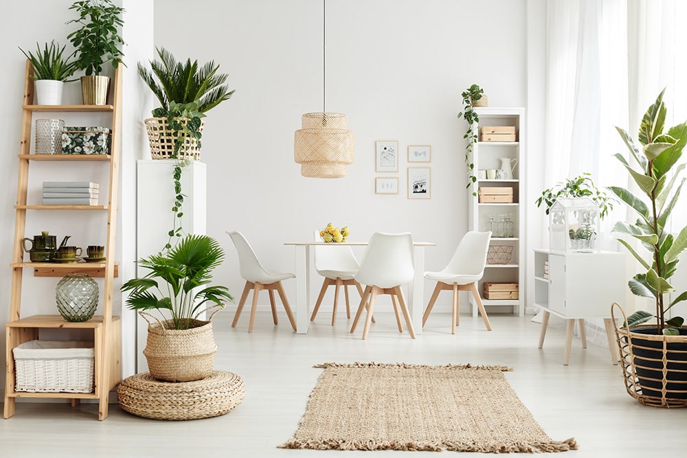 Botanical Pattern Interior Design_Photographee eu_Shutterstock