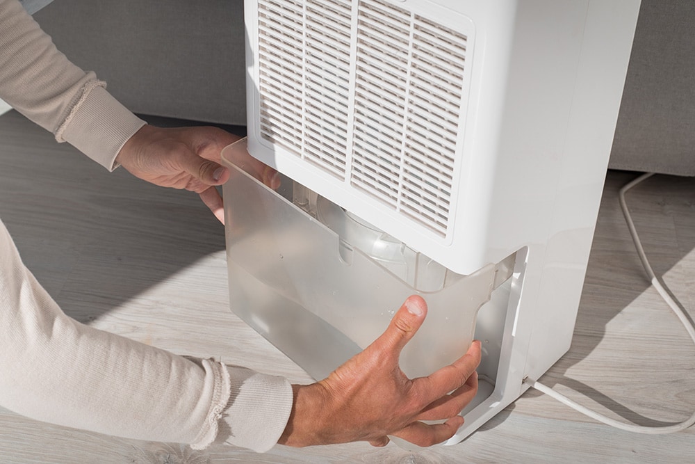 Changing container of dehumidifier_Creative Cat Studio_Shutterstock