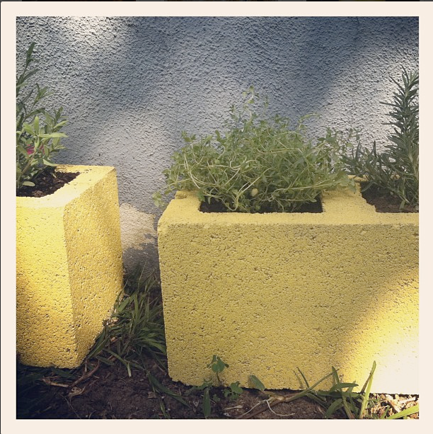 Cinder Block Herb Garden- ona silly whim