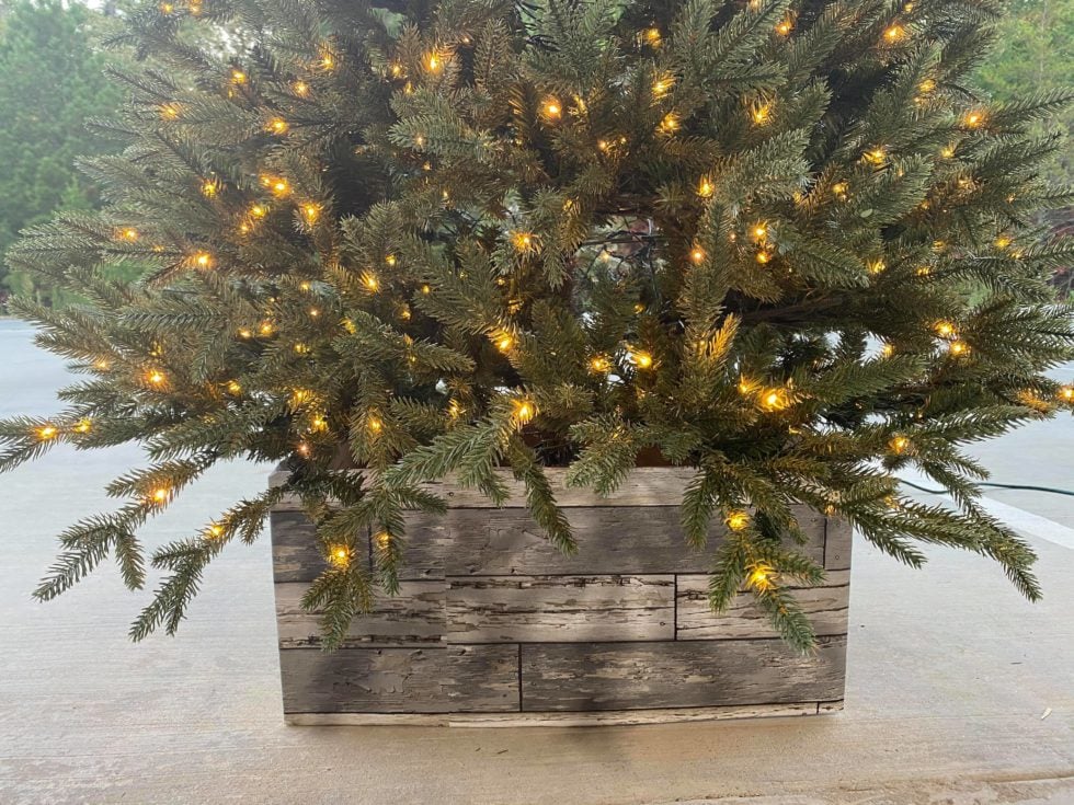 DIY Tree collar
