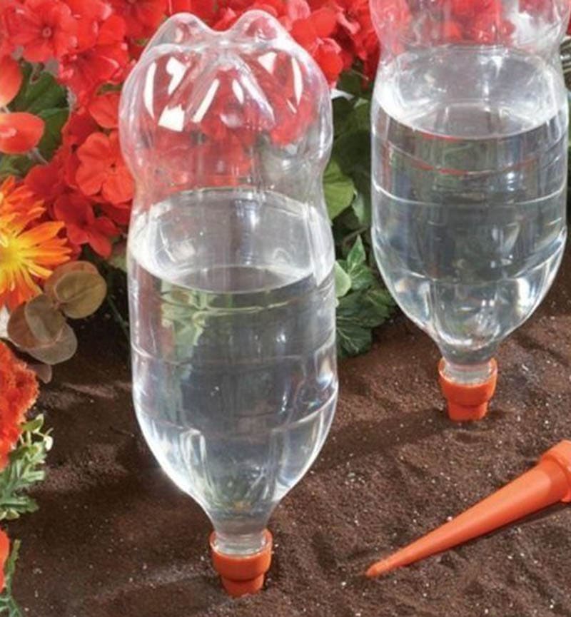 DIY Watering Globe