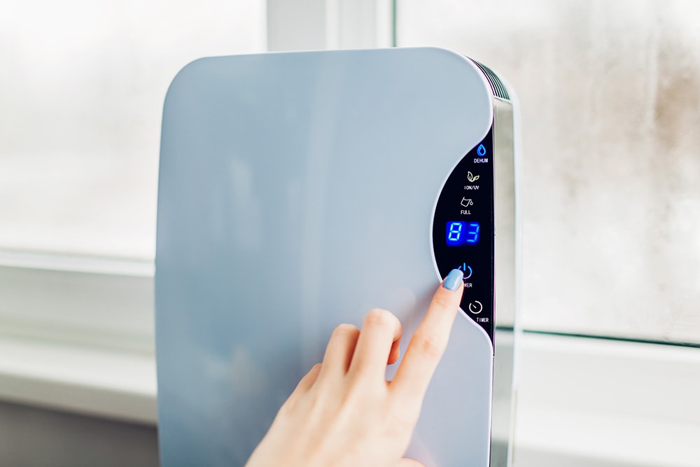 Dehumidifier Features_Mariia Boiko, Shutterstock