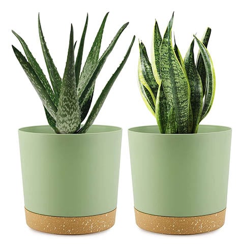 Demaciya Plant Pot for Indoor Plant