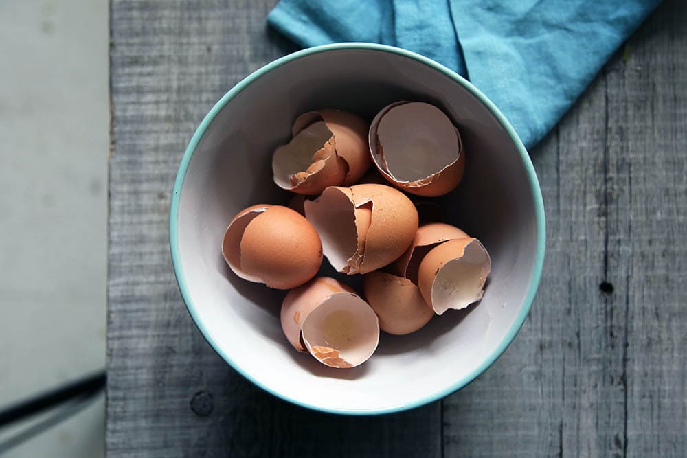 Egg shells in a bowl_CA Creative_Unsplash