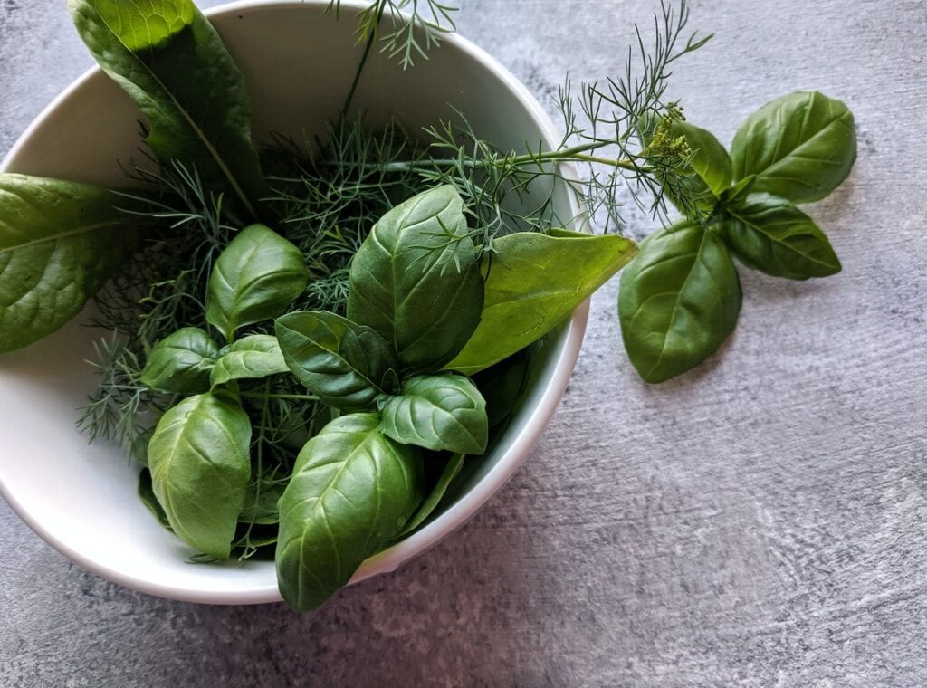 Genovese Basil