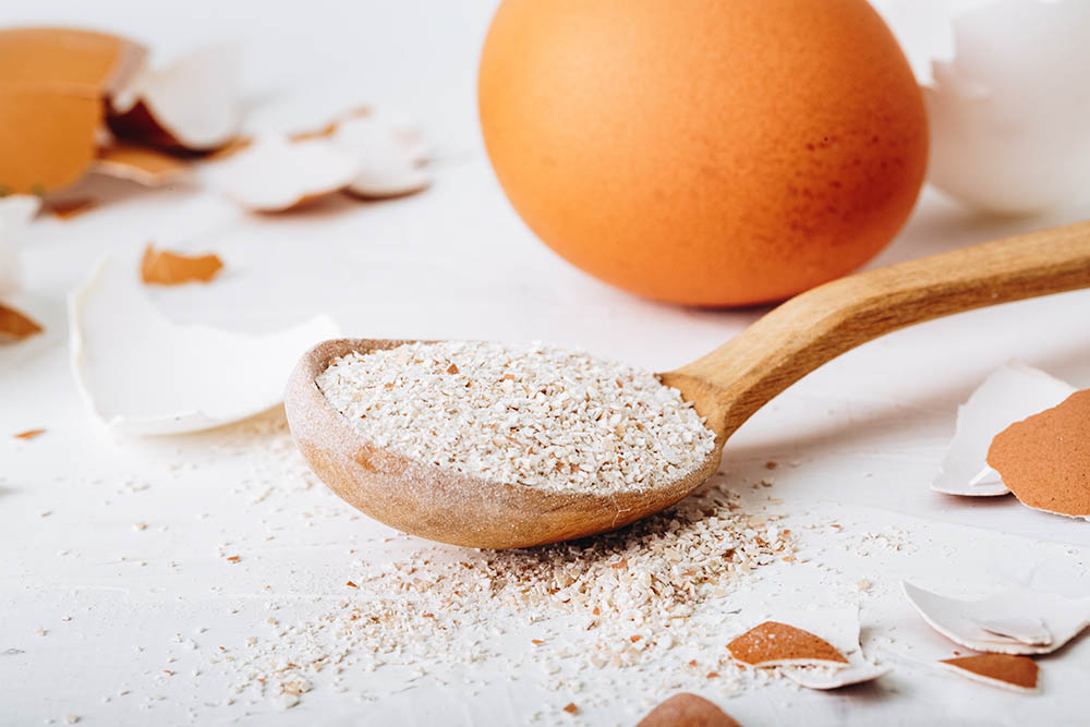 Ground egg shell_Olga Pilnik_Shutterstock