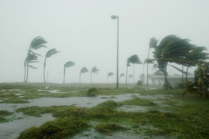 Hurricane storm