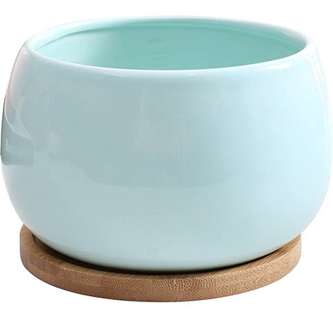 Jusalpha 5” Ceramic Cactus Pot