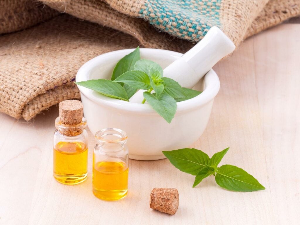 Lemon Basil