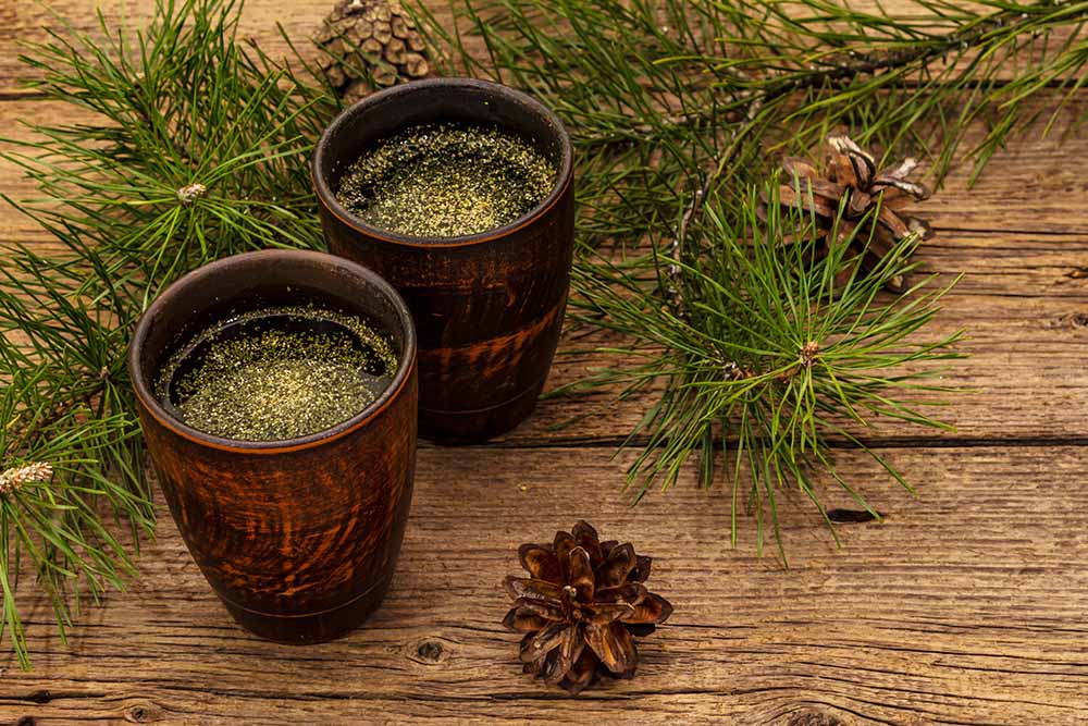 Pine needle tea, sollip-cha, traditional Korean beverage