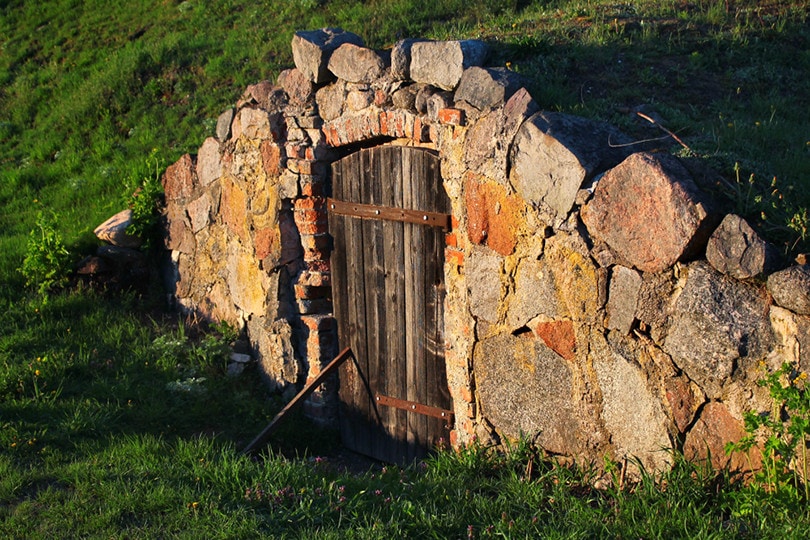 Root Cellar