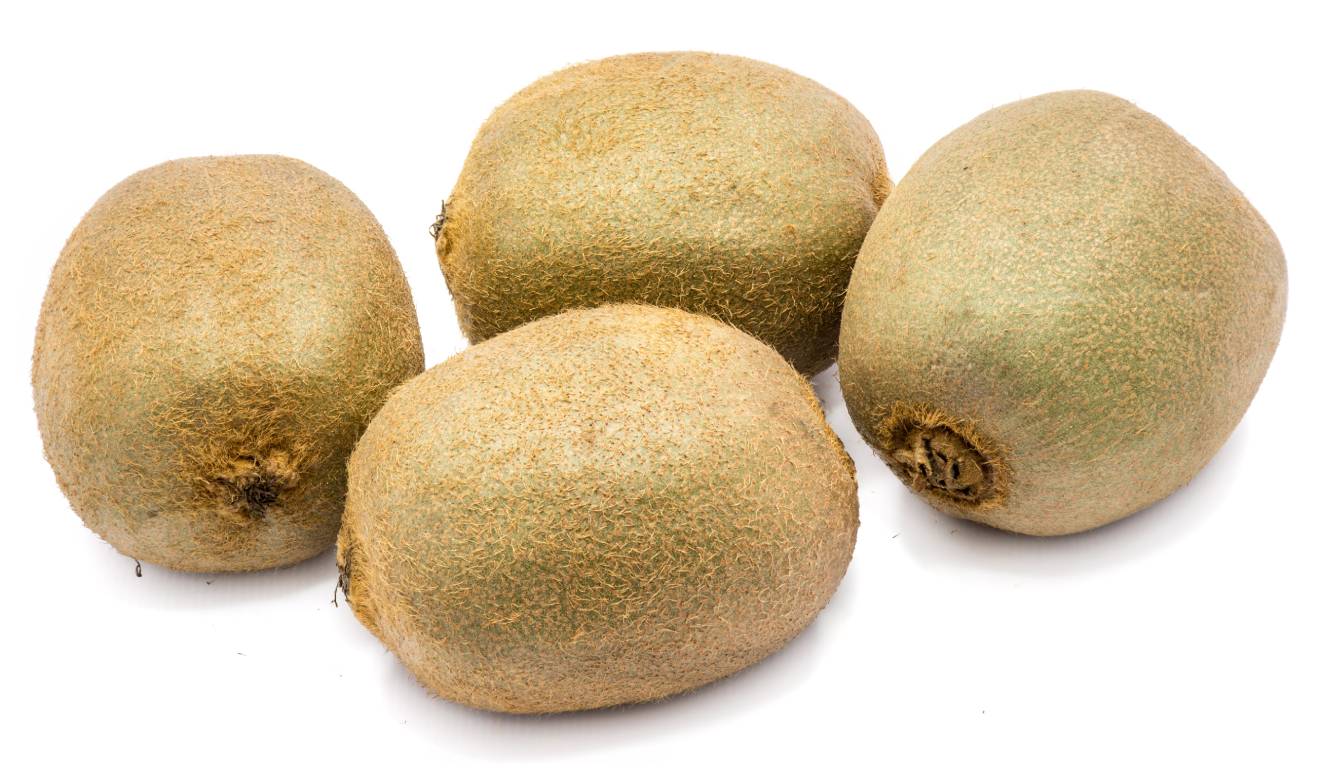 Saanichton Fuzzy Kiwi