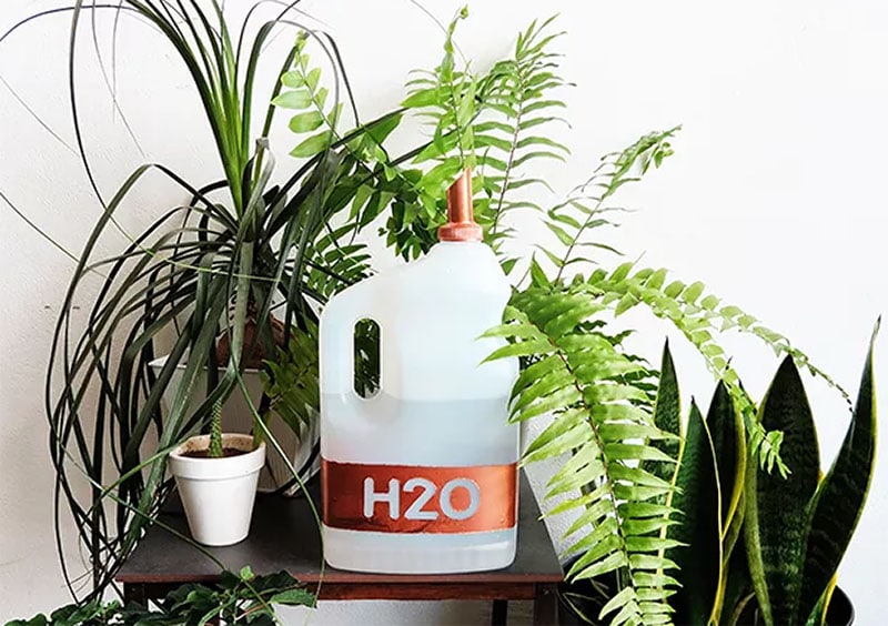 Stylish Plastic Container Can